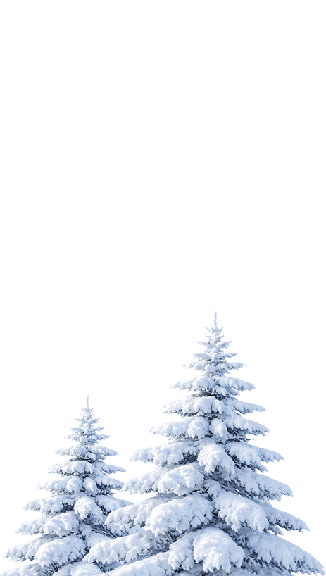 Snow Tree