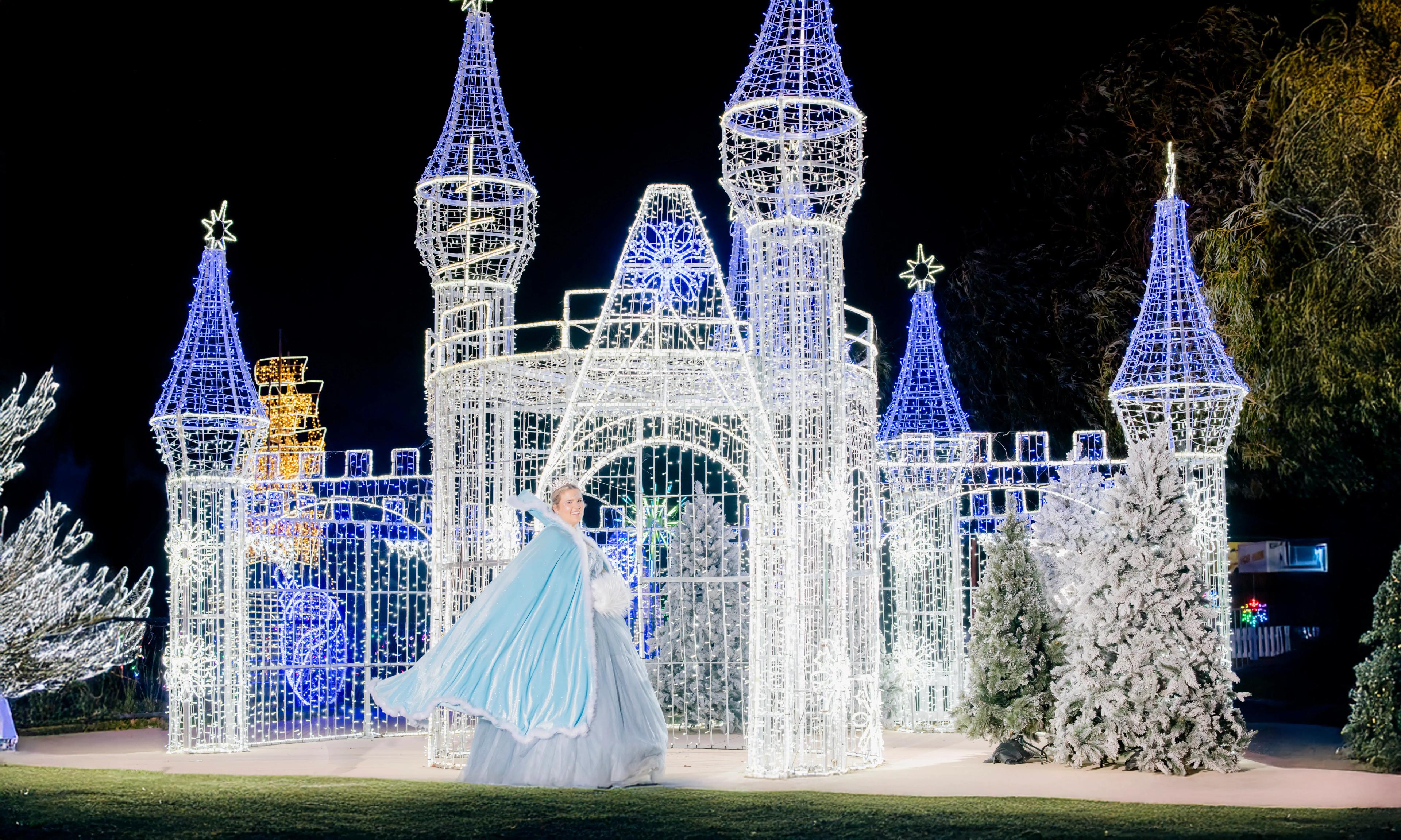 Meet an Ice Princess! background