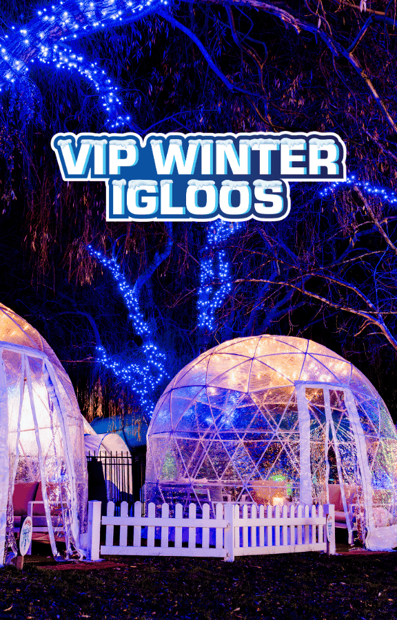 VIP IGLOO HIRE