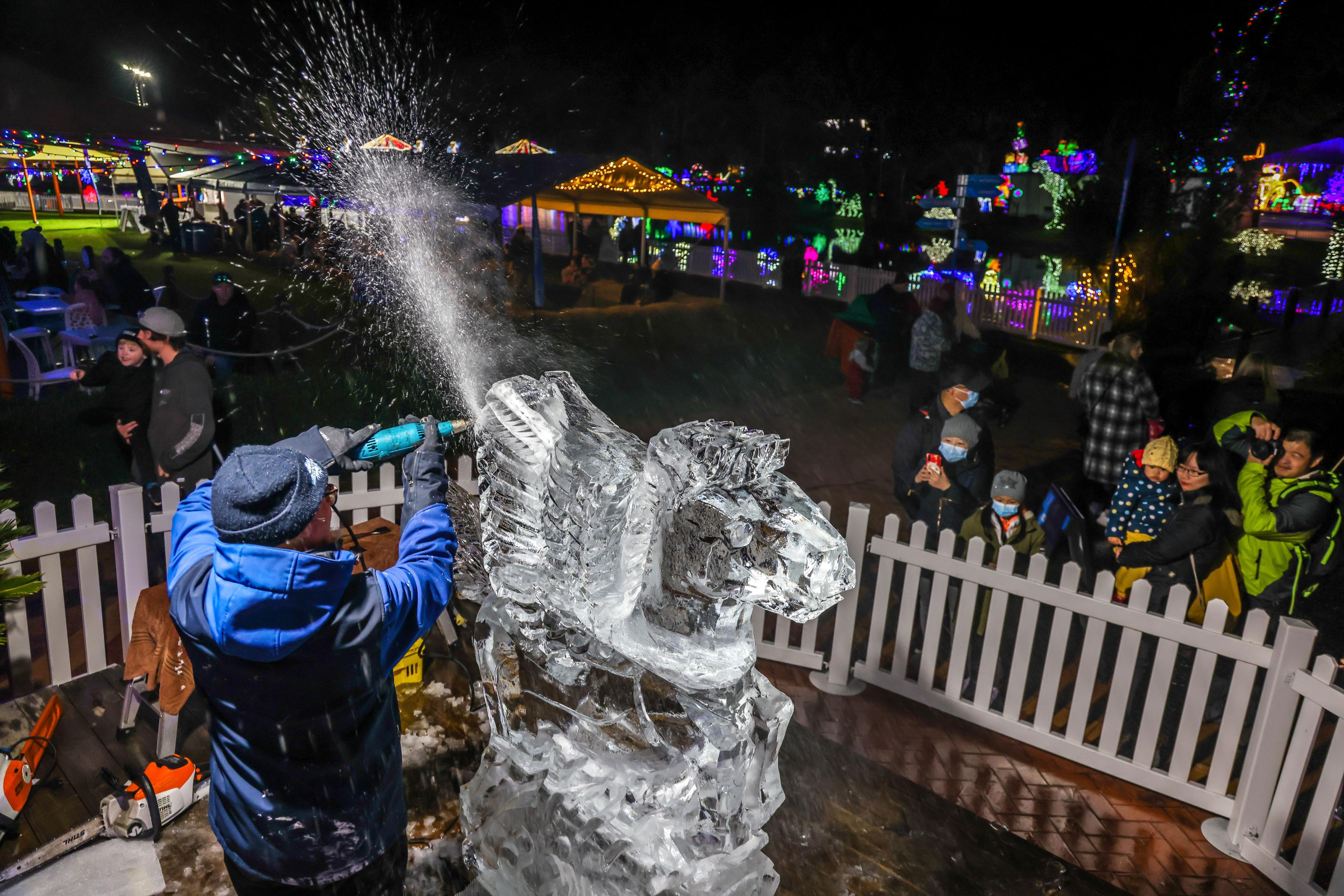 See spectacular Ice Carving displays background