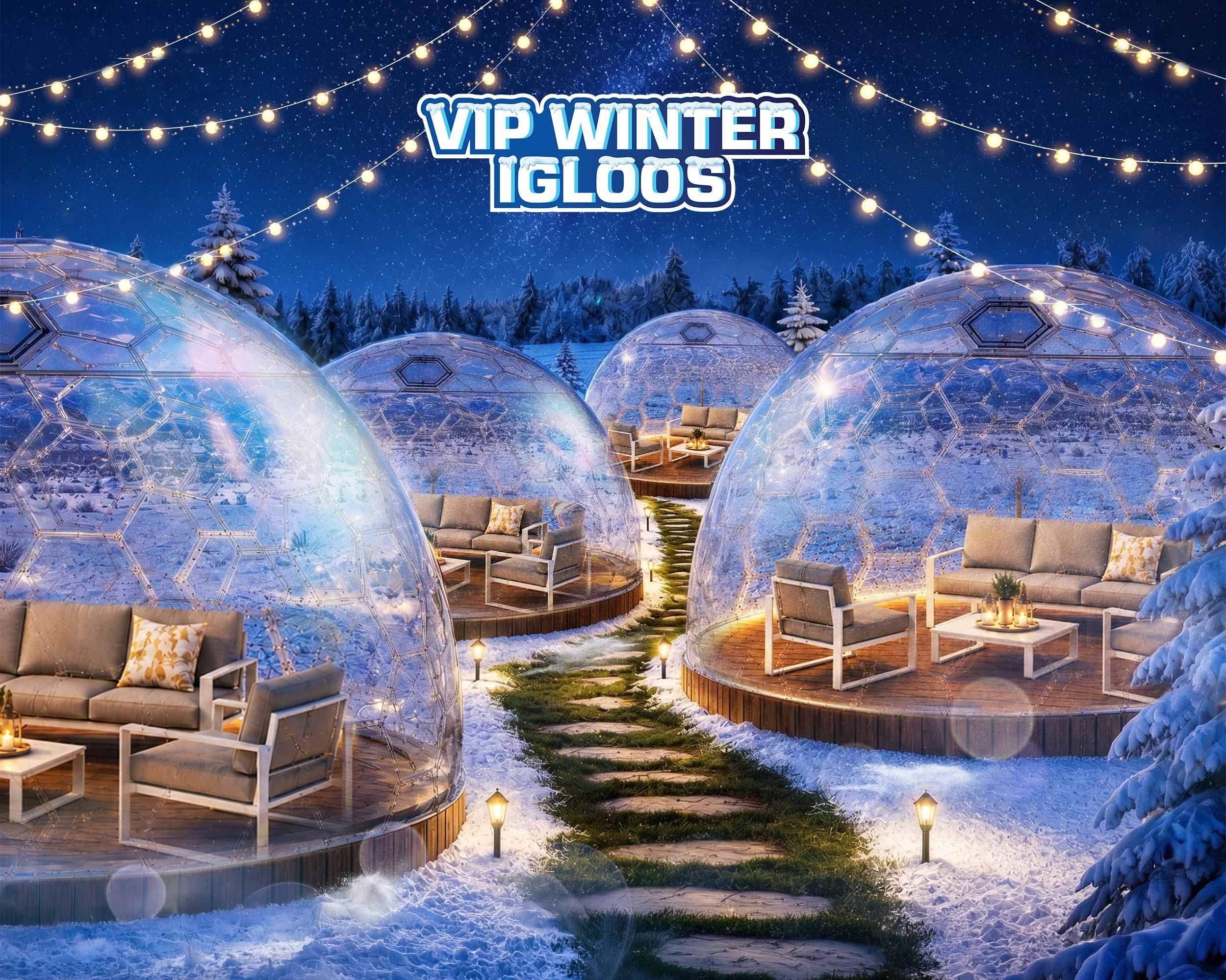 VIP Igloos for hire! background